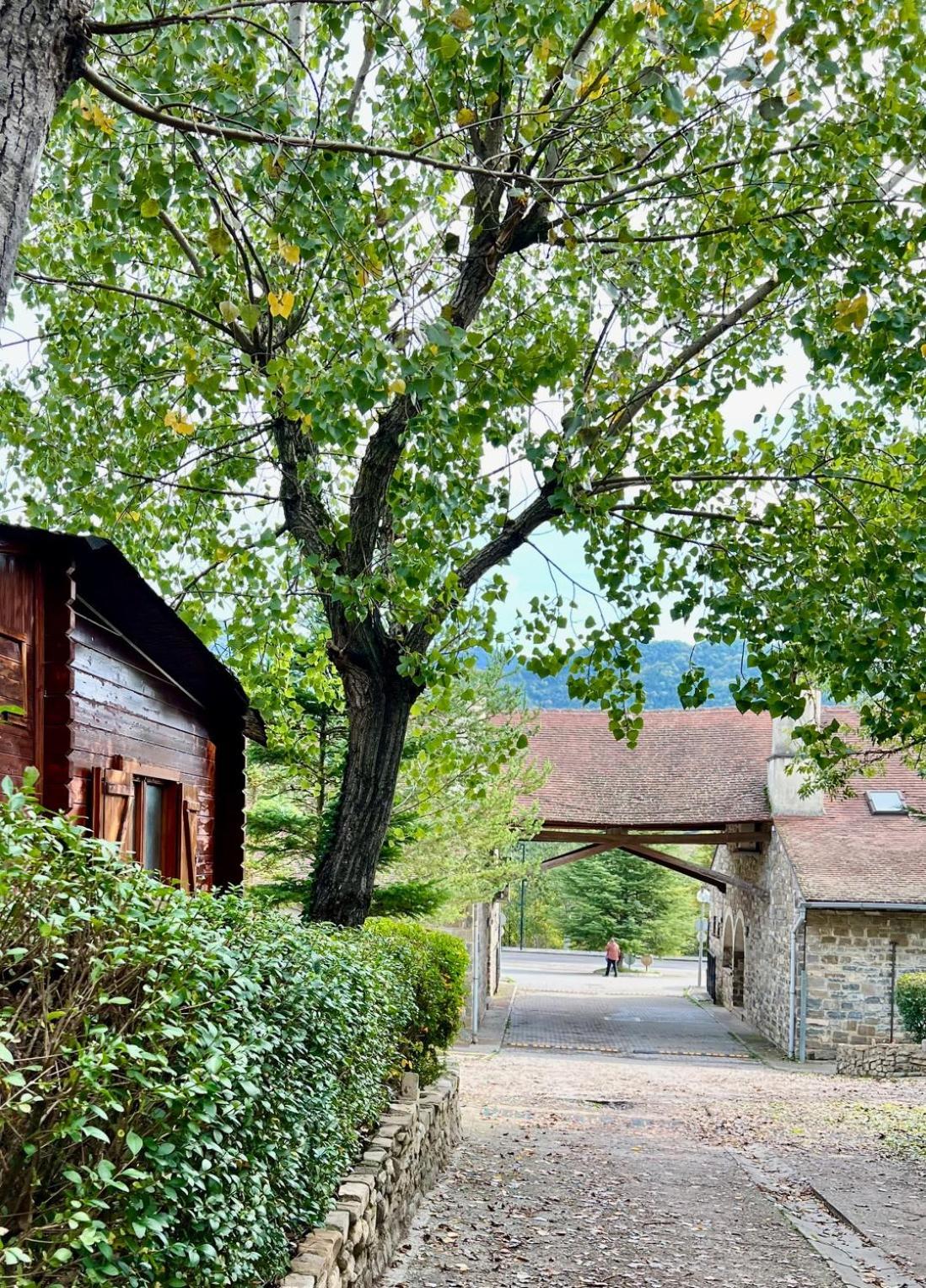 Camping Valle de Hecho Extérieur photo